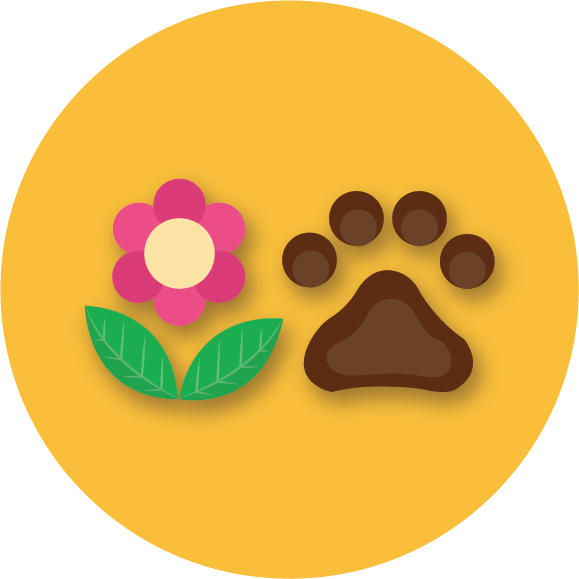 ชมพรรณไม้