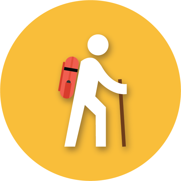 เดินป่า